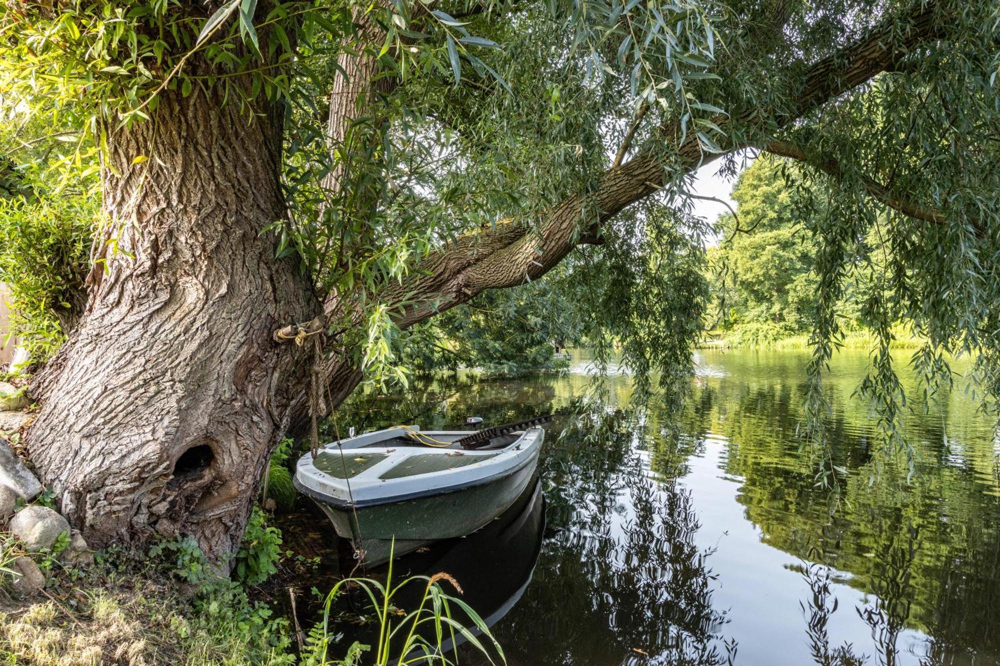 Ferienwohnung Am Parksee Bad Bodenteich Exteriör bild